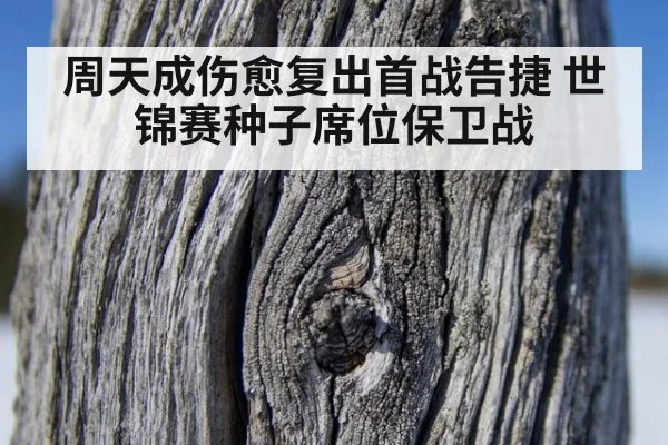 周天成伤愈复出首战告捷 世锦赛种子席位保卫战